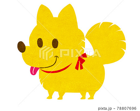 カートゥーンタッチのポメラニアン犬のイラスト 78807696