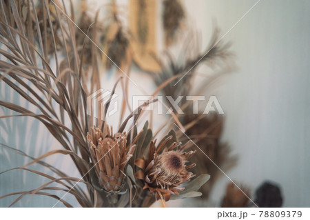 ドライフラワー 78809379
