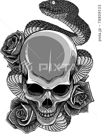 vector illustration of skull, roses and snake 78809533