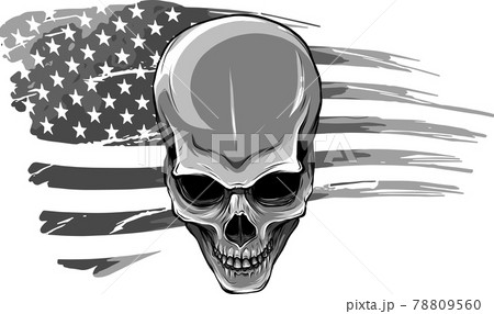 vector illustartion of skull with american flag vector illustartion of skull with american flag 78809560