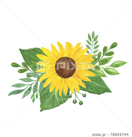 Floral composition, sunflower, leaves watercolor illustration, field agricultural plant summer bouquet, flower, branches, for greeting card, boho decor, wedding invitation template, holiday design 78809794