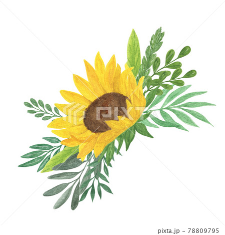 Floral composition, sunflower, leaves watercolor illustration, field agricultural plant summer bouquet, flower, branches, for greeting card, boho decor, wedding invitation template, holiday design 78809795