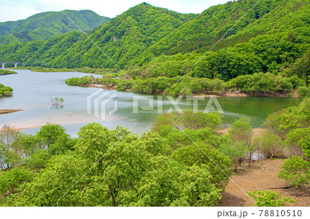 大塩沢橋からの風景　五十里湖周辺の景色　日光市　　　　　 78810510