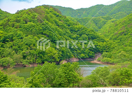 大塩沢橋からの風景　五十里湖周辺の景色　日光市　　　　　 78810511