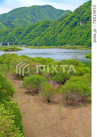 大塩沢橋からの風景 五十里湖 周辺の景色 日光市      大塩沢橋からの風景 五十里湖 周辺の景色 日光市      78810655