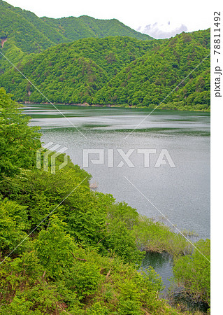 五十里湖 湯西川温泉駅周辺の景色 日光市      五十里湖 湯西川温泉駅周辺の景色 日光市      78811492