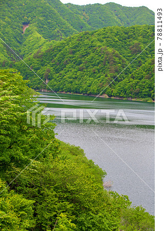 五十里湖 湯西川温泉駅周辺の景色 日光市      五十里湖 湯西川温泉駅周辺の景色 日光市      78811493