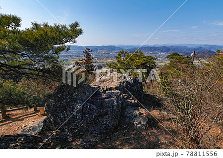栃木県/ 天狗岩（唐沢山城）からの風景 78811556