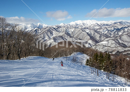 宝台樹スキー場と谷川連峰 78811833