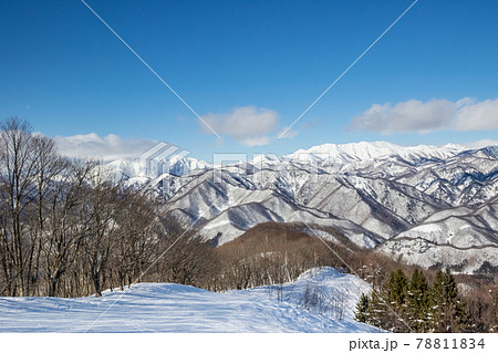 宝台樹スキー場と谷川連峰 78811834