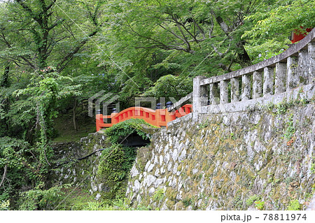 新緑の熊野那智大社と満開の紫陽花園〜青岸渡寺と那智の滝 78811974