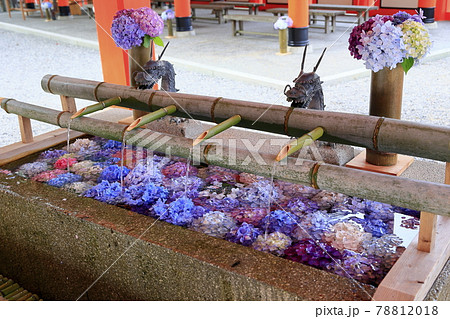 新緑の熊野那智大社と満開の紫陽花園〜青岸渡寺と那智の滝 78812018