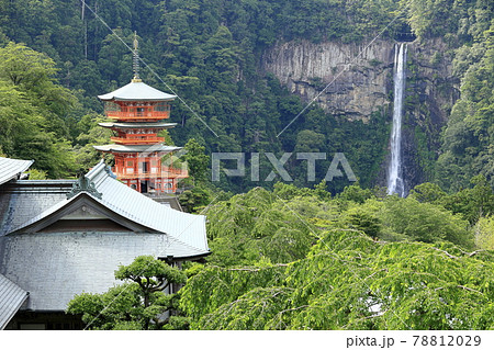 新緑の熊野那智大社と満開の紫陽花園〜青岸渡寺と那智の滝 78812029