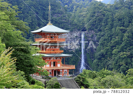 新緑の熊野那智大社と満開の紫陽花園〜青岸渡寺と那智の滝 78812032