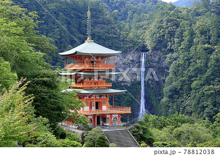 新緑の熊野那智大社と満開の紫陽花園〜青岸渡寺と那智の滝 78812038