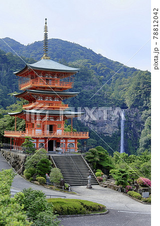 新緑の熊野那智大社と満開の紫陽花園〜青岸渡寺と那智の滝 78812042