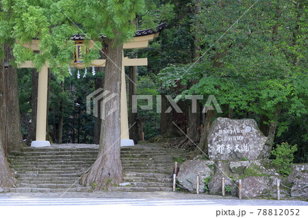 新緑の熊野那智大社と満開の紫陽花園〜青岸渡寺と那智の滝 78812052