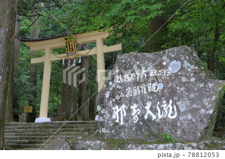 新緑の熊野那智大社と満開の紫陽花園〜青岸渡寺と那智の滝 78812053