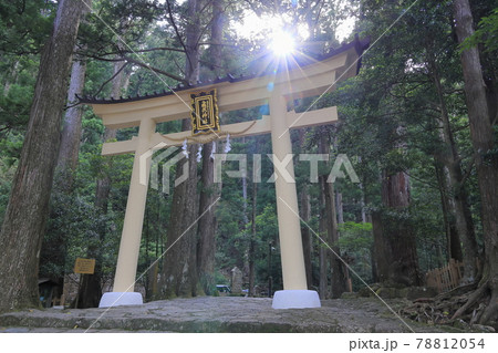 新緑の熊野那智大社と満開の紫陽花園〜青岸渡寺と那智の滝 78812054