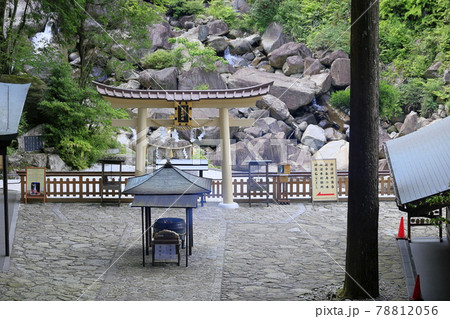 新緑の熊野那智大社と満開の紫陽花園〜青岸渡寺と那智の滝 78812056