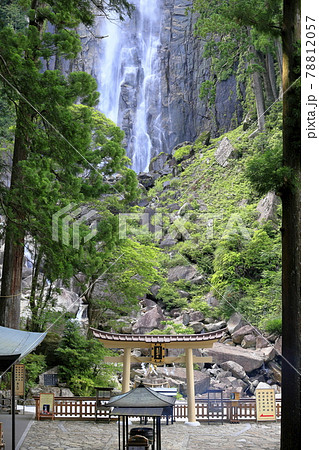 新緑の熊野那智大社と満開の紫陽花園〜青岸渡寺と那智の滝 新緑の熊野那智大社と満開の紫陽花園〜青岸渡寺と那智の滝 78812057