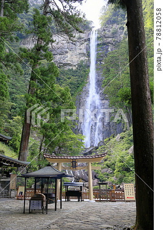 新緑の熊野那智大社と満開の紫陽花園〜青岸渡寺と那智の滝 78812058