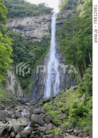 新緑の熊野那智大社と満開の紫陽花園〜青岸渡寺と那智の滝 78812061