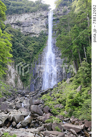 新緑の熊野那智大社と満開の紫陽花園〜青岸渡寺と那智の滝 78812062