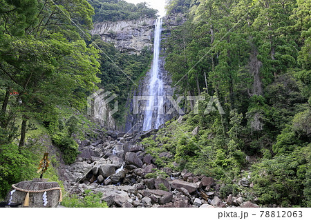 新緑の熊野那智大社と満開の紫陽花園〜青岸渡寺と那智の滝 78812063