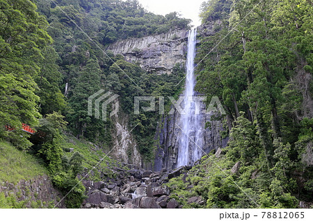 新緑の熊野那智大社と満開の紫陽花園〜青岸渡寺と那智の滝 78812065