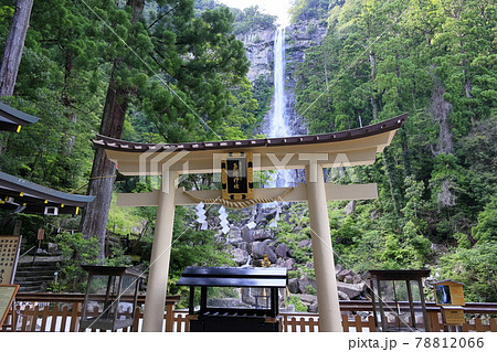 新緑の熊野那智大社と満開の紫陽花園〜青岸渡寺と那智の滝 78812066