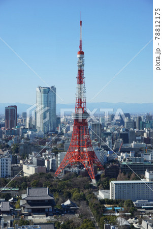 東京 2020年 景色 展望 展望台 俯瞰 遠景 昼間 快晴 青空 東京 2020年 景色 展望 展望台 俯瞰 遠景 昼間 快晴 青空 78812175