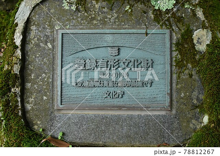 天城隧道・あまぎずいどう（静岡県） 78812267