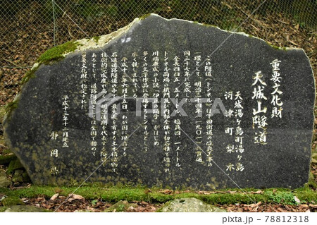 天城隧道・あまぎずいどう（静岡県） 78812318