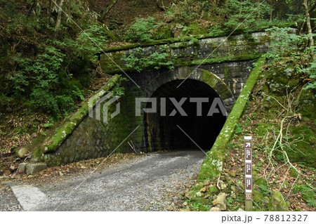 天城隧道・あまぎずいどう（静岡県） 78812327