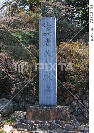 栃木県/ 唐沢山城  続日本100名城 78812453