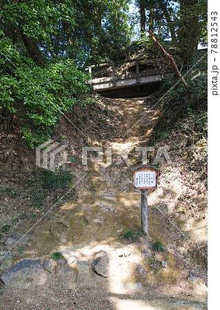 栃木県/ 唐沢山城 ・さくらの馬場　 続日本100名城 78812543