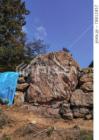 栃木県/ 唐沢山城 ・本丸・石垣　 続日本100名城 78812857