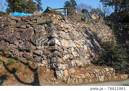 栃木県/ 唐沢山城 ・本丸・石垣　 続日本100名城 78812861