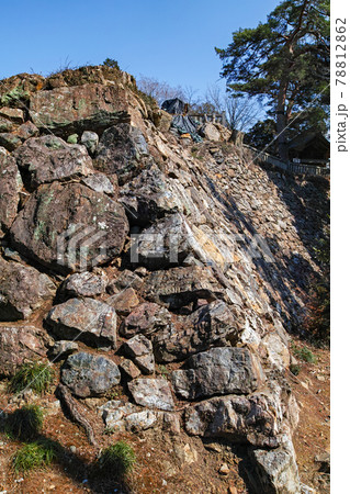 栃木県/ 唐沢山城 ・本丸・石垣　 続日本100名城 78812862