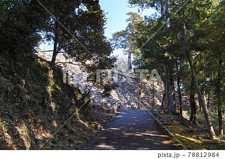栃木県/ 唐沢山城 ・石垣　 続日本100名城 78812984