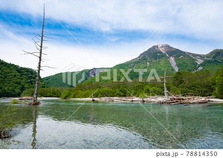 大正池と焼岳、上高地 大正池と焼岳、上高地 78814350