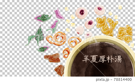 Chinese herbal medicine "Hangekobokuto" hand-painted watercolor style illustration Chinese herbal medicine "Hangekobokuto" hand-painted watercolor style illustration 78814400