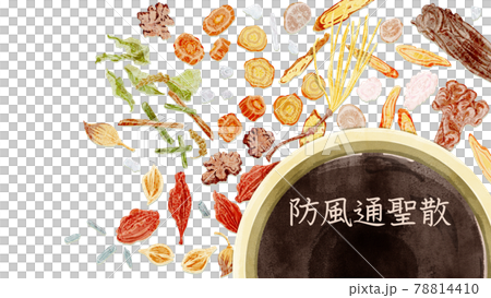 漢方生薬「防風通聖散」手描き水彩風イラスト 78814410