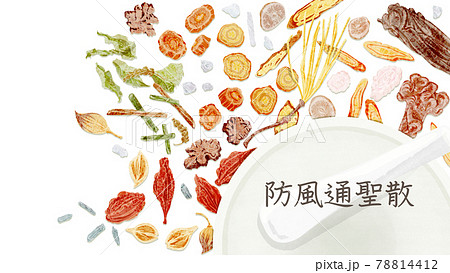 漢方生薬「防風通聖散」手描き水彩風イラスト 漢方生薬「防風通聖散」手描き水彩風イラスト 78814412