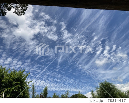 今日の空 78814417