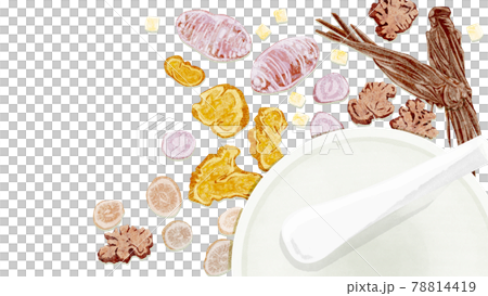 漢方生薬「当帰芍薬散」手描き水彩風イラスト 漢方生薬「当帰芍薬散」手描き水彩風イラスト 78814419