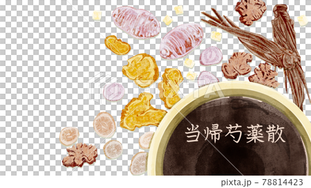 漢方生薬「当帰芍薬散」手描き水彩風イラスト 78814423