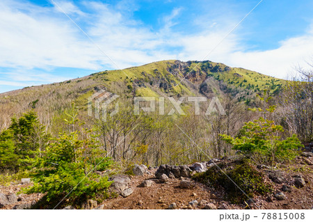 四阿山登山：菅平牧場ルートから根子岳を望む 78815008