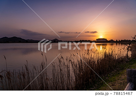 鳥取県米子市　春の米子水鳥公園の夕景 78815467